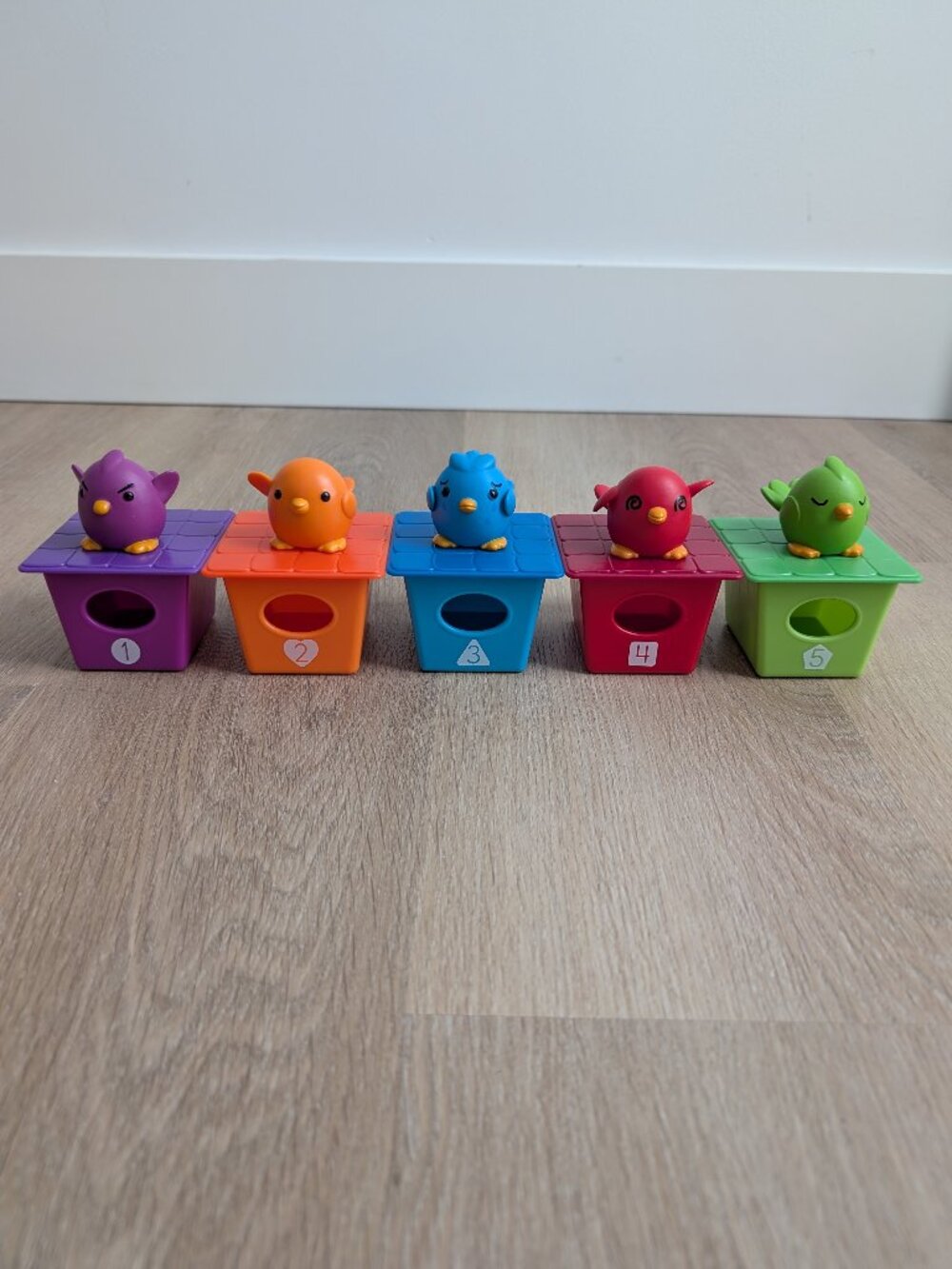 Learning Resources - Peek-a-Bird Learning Buddies